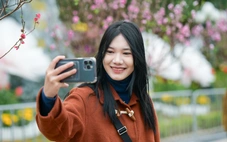 Đến Lạng Sơn ngắm hoa đào xứ Lạng