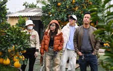 Hưng Yên sôi động cây cảnh Tết