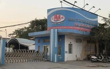 Giá vốn bất ngờ 'vọt' lên, Đồ hộp Hạ Long lỗ đậm sau vụ việc thịt heo bệnh