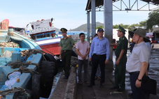 Rà soát thiết bị giám sát tàu cá tại TP.HCM, đẩy mạnh chống khai thác IUU