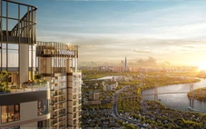 Những ô cửa sáng đèn kể câu chuyện đời sống đô thị