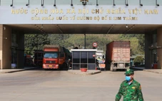 Bộ Nông nghiệp và Môi trường lập đường dây nóng giải đáp vướng mắc Nghị định 46