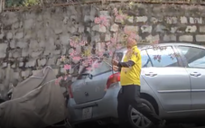 Người đàn ông vào nhà công vụ ở Đà Lạt chặt mai anh đào, chất lên ô tô rời đi