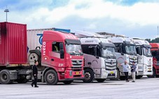 Tạm dừng áp dụng Nghị định 46 về an toàn thực phẩm đến hết ngày 15-4