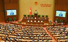 34 trưởng đoàn đại biểu Quốc hội khóa mới sẽ là lãnh đạo chủ chốt ở địa phương