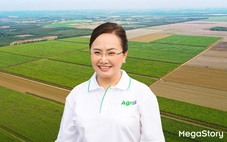 Từ túi ong mắt đỏ đến bài toán 'cửa thắng' cho nông nghiệp Việt trên sân chơi toàn cầu