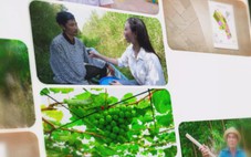 Xã Nguyễn Phích: Hương tràm, mật ngọt dệt nên ‘khát vọng xanh’