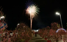 Pháo hoa rực sáng tại Vinhomes Green Paradise Cần Giờ, khai lễ hội Xuân