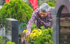 Trước Tết về với cội rễ