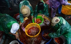 Cảnh tấp nập xuyên đêm ở chợ cá lớn nhất Hà Nội trước ngày ông Công ông Táo