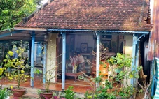 Vun nếp nhà từ ngày Tết