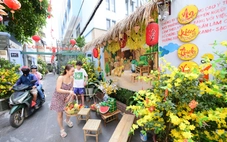 Tết đã về trong từng hẻm nhỏ