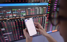 VN-Index chững lại, thanh khoản ảm đạm ngày cận Tết