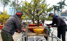 Cuối năm thu nhập khấm khá bằng nghề ‘chở Tết về nhà’