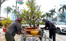 Cuối năm thu nhập khấm khá bằng nghề ‘chở Tết về nhà’