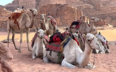 Tour trăm triệu tạm dừng, hàng xuất khẩu 'kẹt' vì chiến sự