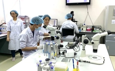 Đại học Quốc gia TP.HCM săn tìm 167 nhà khoa học, ưu đãi nghiên cứu hàng chục tỉ đồng