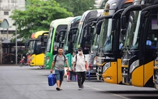 96 tuyến xe xin tăng giá vé, Sở Xây dựng TP.HCM theo dõi chặt