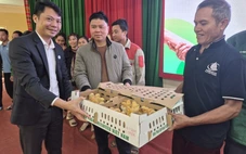 Trao 15.000 con gà giống giúp người dân vùng cao xóa nghèo