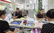 TP.HCM yêu cầu giải quyết thông suốt hồ sơ đất đai nhận trước và cả sau 31-1-2026