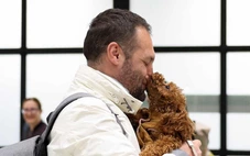 Thú cưng bị bỏ rơi, thậm chí bị an tử khi chủ rời đi vì chiến sự Trung Đông