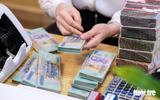 Deloitte Việt Nam: Chúng ta không thiếu vốn cho tăng trưởng mà thiếu cấu trúc phù hợp để hấp thụ vốn