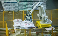 Xung đột ở Trung Đông ảnh hưởng thế nào đến giá thức ăn chăn nuôi Việt Nam?