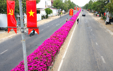 Con đường hoa giấy tím rực ở vùng cao Ninh Thuận cũ níu chân du khách