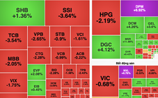 Cổ phiếu Vinaconex tăng trần 3 phiên sau tin lãnh đạo bị bắt, VN-Index 'đỏ lửa'