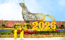 Sở Xây dựng TP.HCM đề nghị duy trì cảnh quan các công viên, vườn hoa dịp Tết Bính Ngọ