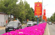 Con đường hoa giấy tím rực ở vùng cao Ninh Thuận cũ níu chân du khách