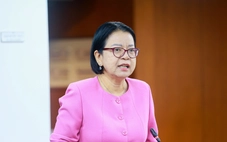 TP.HCM sẽ đưa dữ liệu giao thông, dân cư lên bản đồ số dùng chung