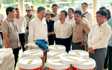 Cần Thơ cử cán bộ từ các sở đến hỗ trợ Sở Y tế sớm hoàn thành dự án Bệnh viện Ung bướu