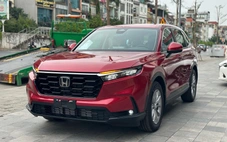 Honda CR-V bản xăng sắp nâng cấp tại Việt Nam: Giá dự kiến tăng 10 triệu, màn lớn hơn, thêm an toàn