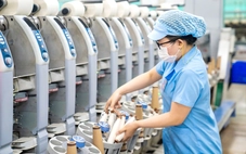 Xuất khẩu ứng phó trước biến động thị trường