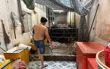 Hộ kinh doanh trâu, bò giết mổ ngay tại chợ Thứ Bảy, làm ô nhiễm