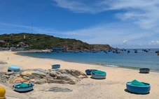 Phát triển cảng cá ở Quy Nhơn thành cảng du lịch