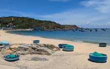 Phát triển cảng cá ở Quy Nhơn thành cảng du lịch