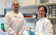 Phát hiện bất ngờ về vitamin B2 mở ra liệu pháp điều trị ung thư mới