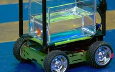 Cá vàng 'lái xe' lập kỷ lục Guinness