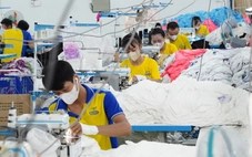 Việt Nam vào top 4 thế giới về nhu cầu tuyển dụng, 87% doanh nghiệp đã ứng dụng AI