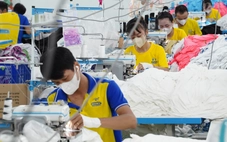 Việt Nam vào top 4 thế giới về nhu cầu tuyển dụng, 87% doanh nghiệp đã ứng dụng AI