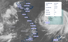 AI giúp cải thiện độ chính xác trong dự báo bão thế nào?