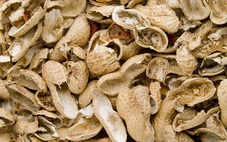 Biến vỏ đậu phộng thành 'vật liệu kỳ diệu' siêu nhẹ, siêu bền