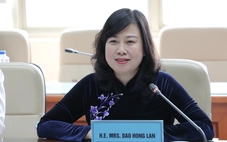 Bộ trưởng Đào Hồng Lan tiếp và làm việc với Chủ tịch khu vực châu Á - Thái Bình Dương của MSD