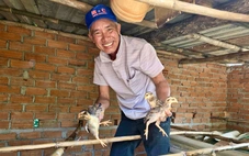 Mất đàn gà sau lũ, người dân Bình Định vui mừng nhận gà giống để tái đàn