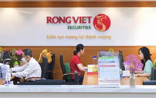 Nhóm Nutifood thành cổ đông lớn nhất Chứng khoán Rồng Việt