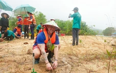 Khách quốc tế thích chài lưới, kéo vó và trồng cây xanh ven sông Cửa Cạn ở Phú Quốc