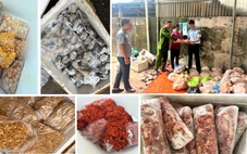 Thu giữ 4 tấn thực phẩm không rõ nguồn gốc ở Thanh Hóa