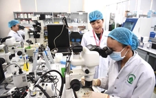 Xây dựng nguồn nhân lực chất lượng cao: Bắt đầu từ gia đình và nhà trường